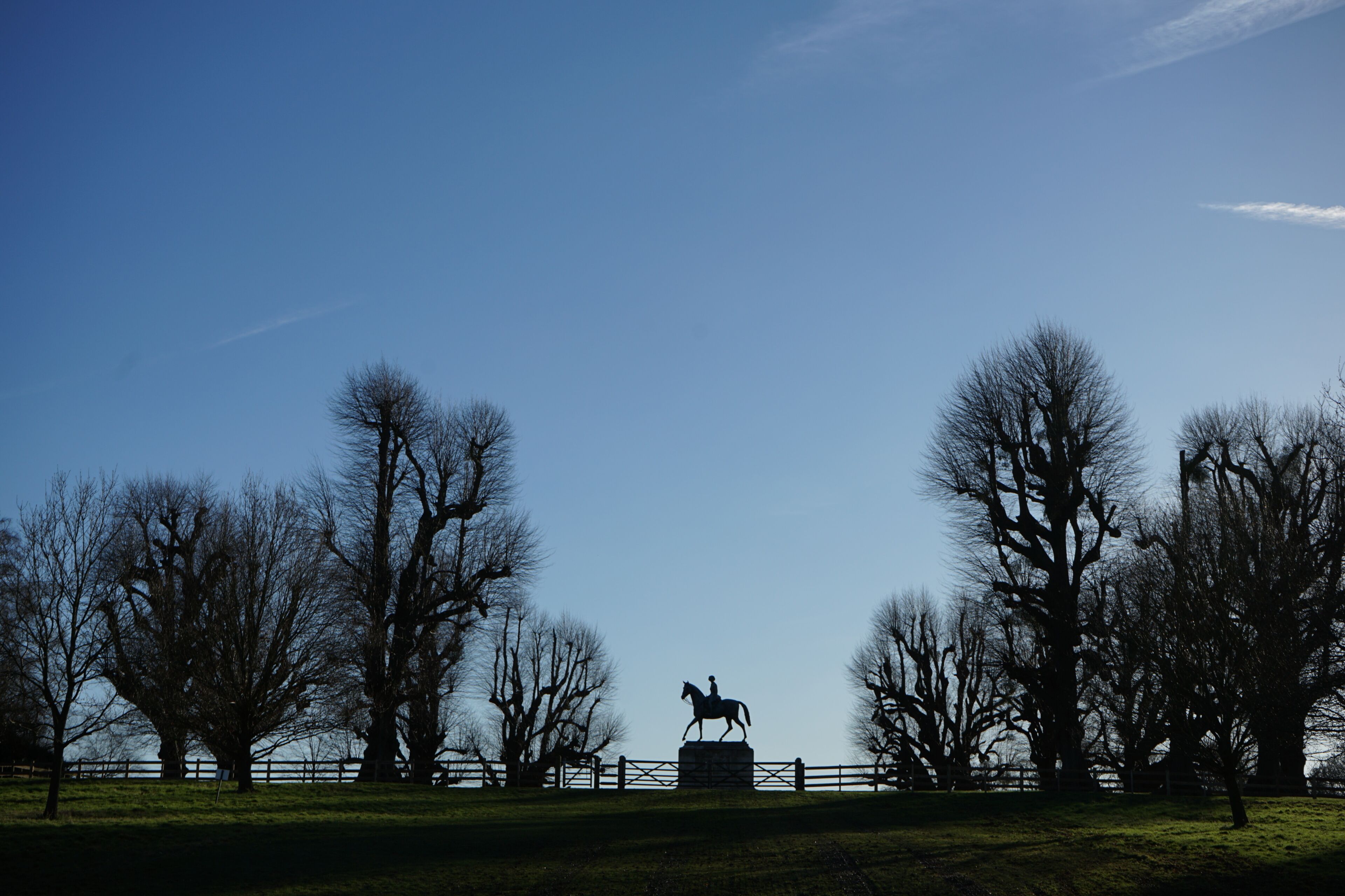 A park with a statue of a figure on horseback, surrounded by leafless trees and a clear sky.