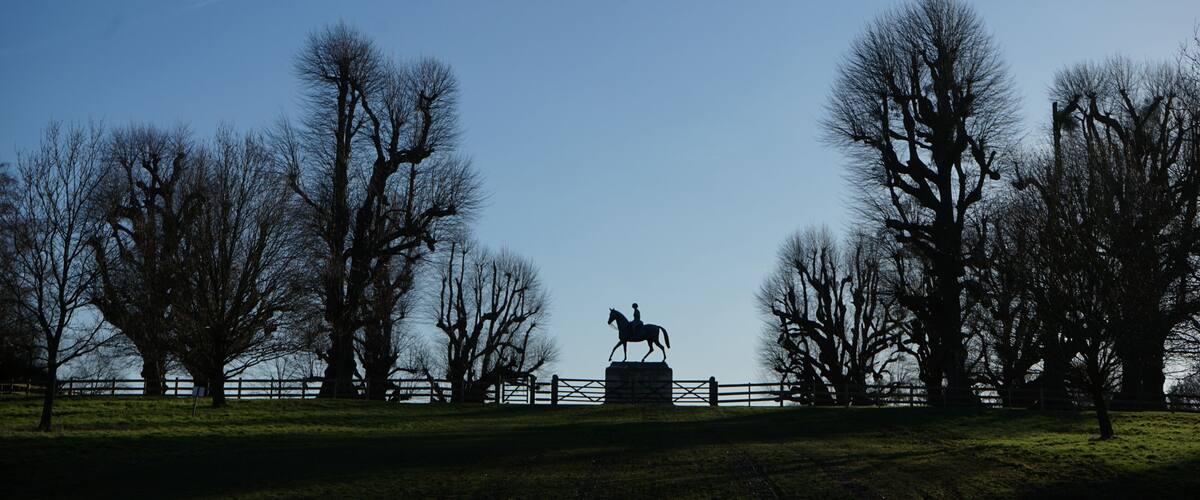 A park with a statue of a figure on horseback, surrounded by leafless trees and a clear sky.