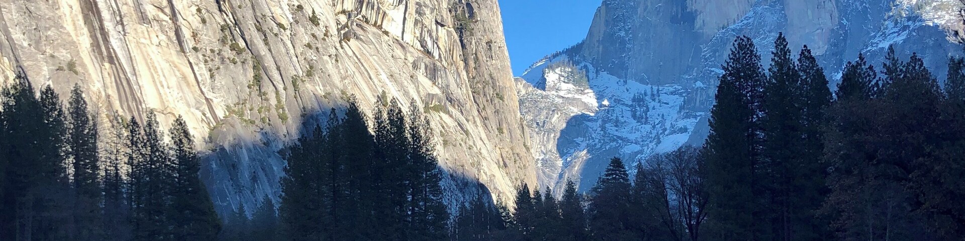 The iconic Half Dome from across a frozen meadow.