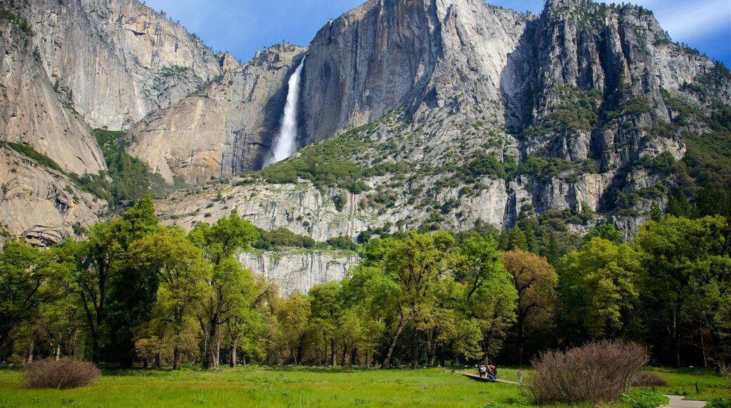 Yosemite National Park inclusief een cascade, bergen en een park