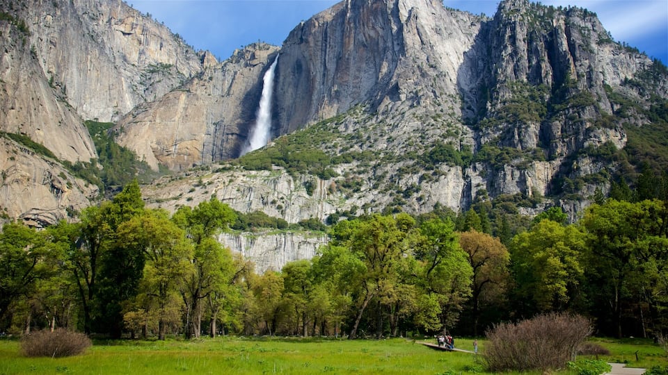 A waterfall cascading down a steep cliff surrounded by lush greenery and trees.