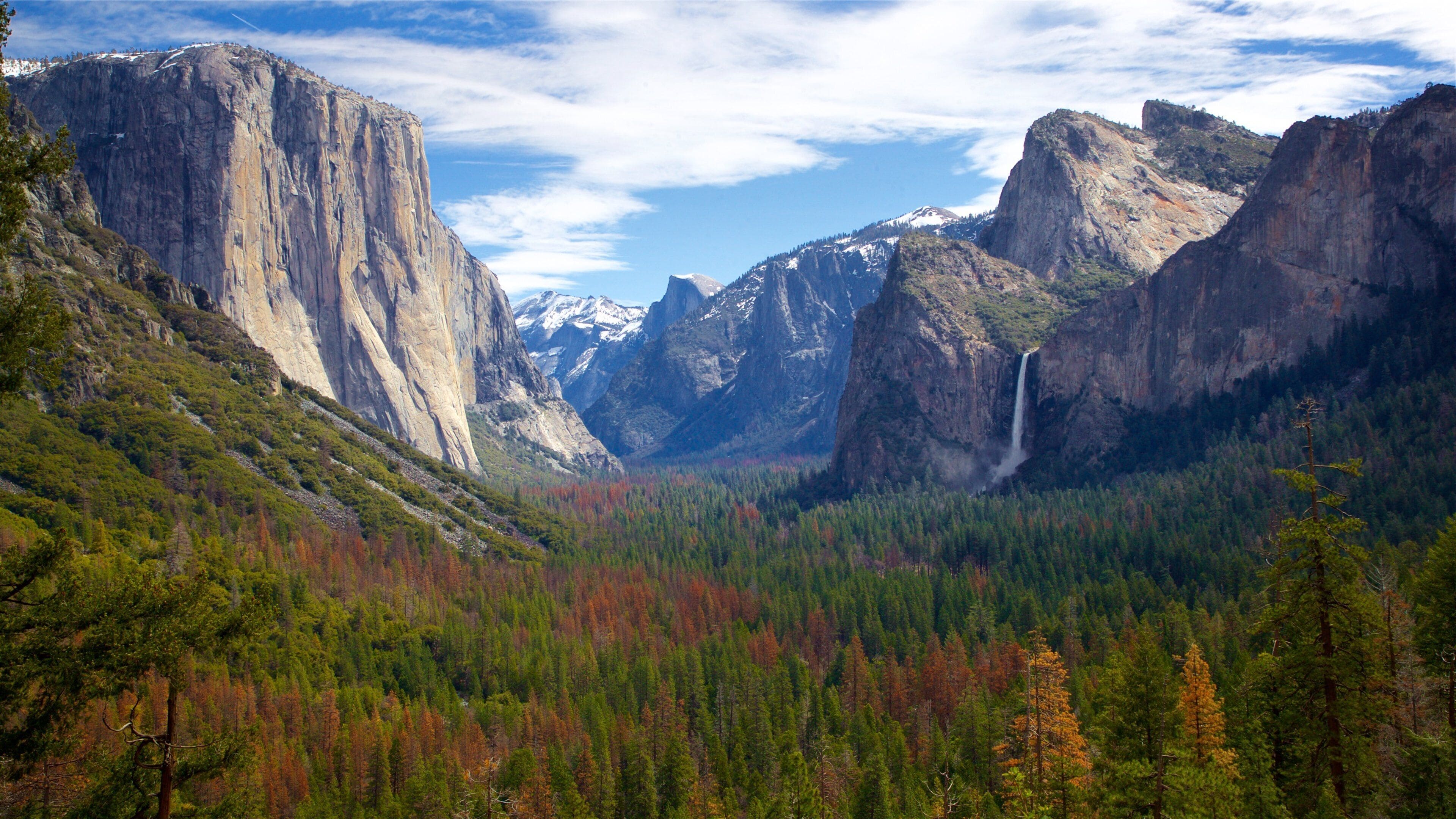 Yosemite National Park featuring tranquil scenes, landscape views and a gorge or canyon