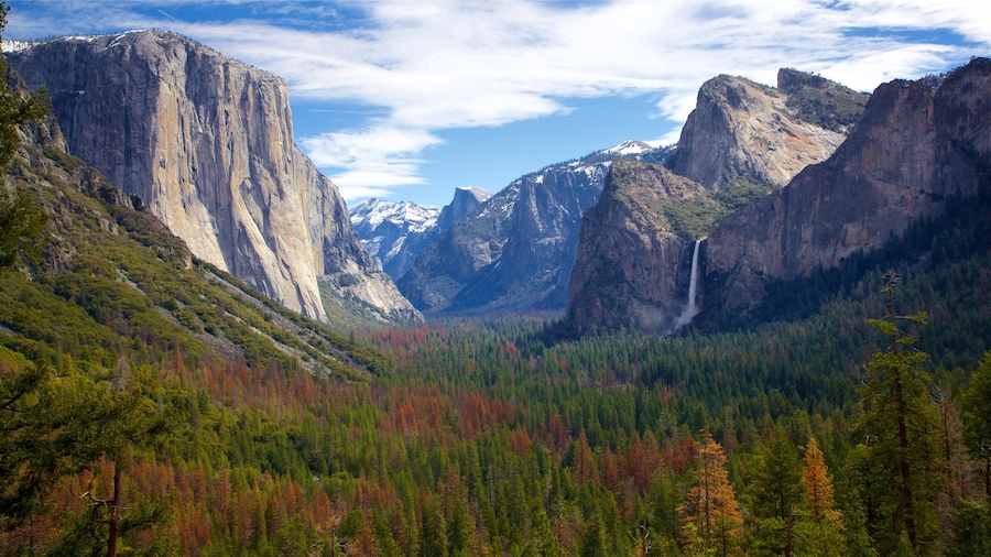 Yosemite National Park which includes tranquil scenes, a gorge or canyon and landscape views