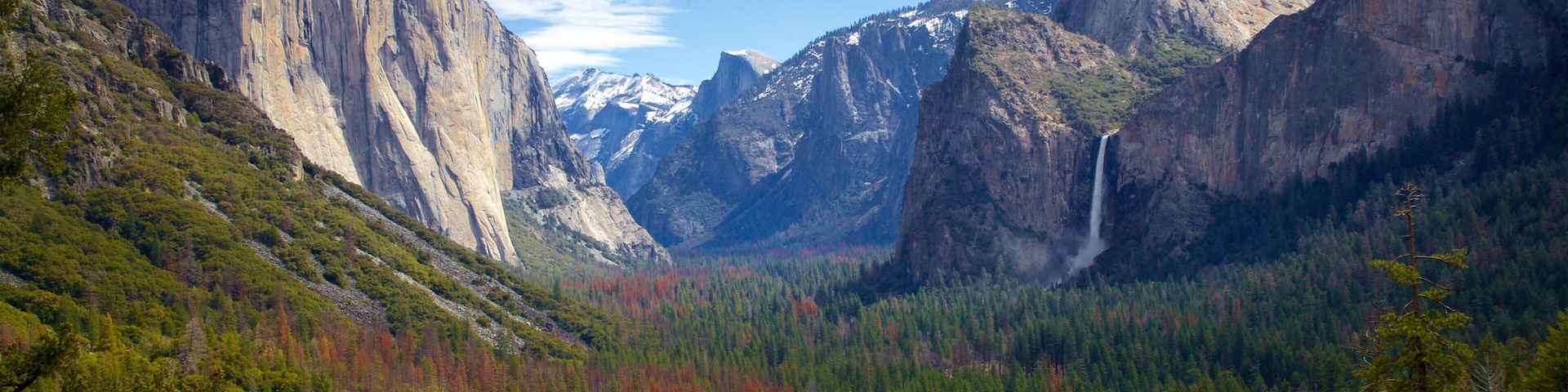 Yosemite National Park featuring tranquil scenes, landscape views and a gorge or canyon