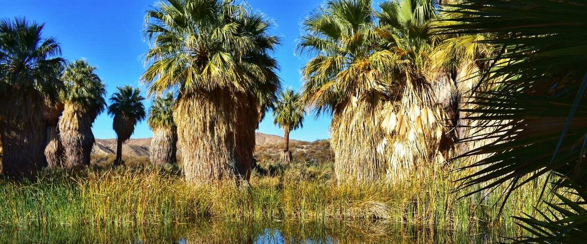 I said maybe you're gonna be the one who saves me...