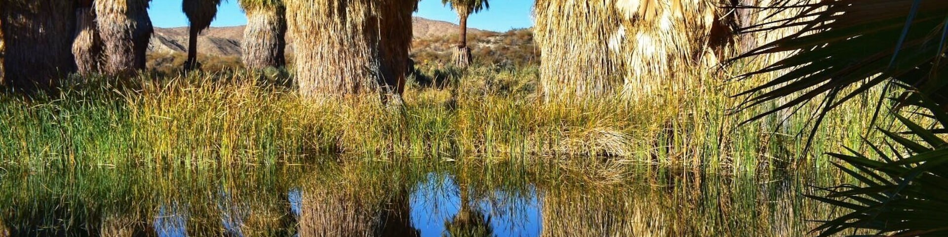 I said maybe you're gonna be the one who saves me...