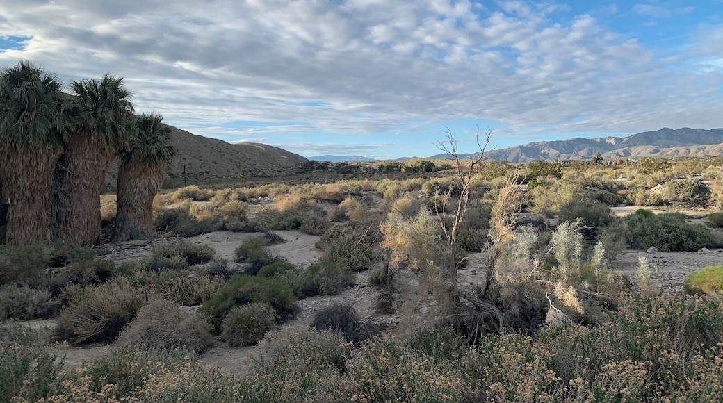 Amazing hiking trails in to the desert
