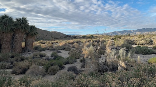 Amazing hiking trails in to the desert