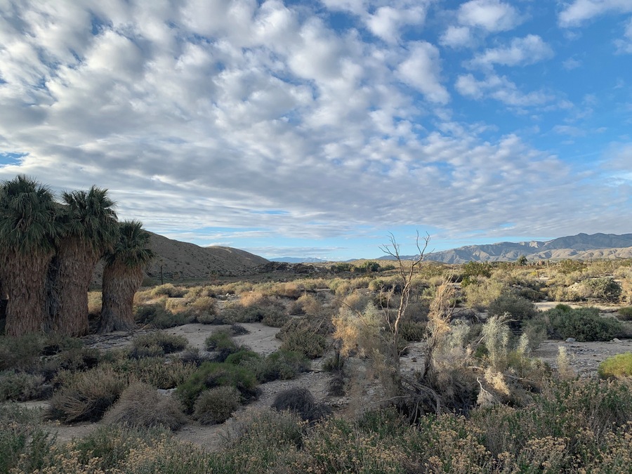 Amazing hiking trails in to the desert