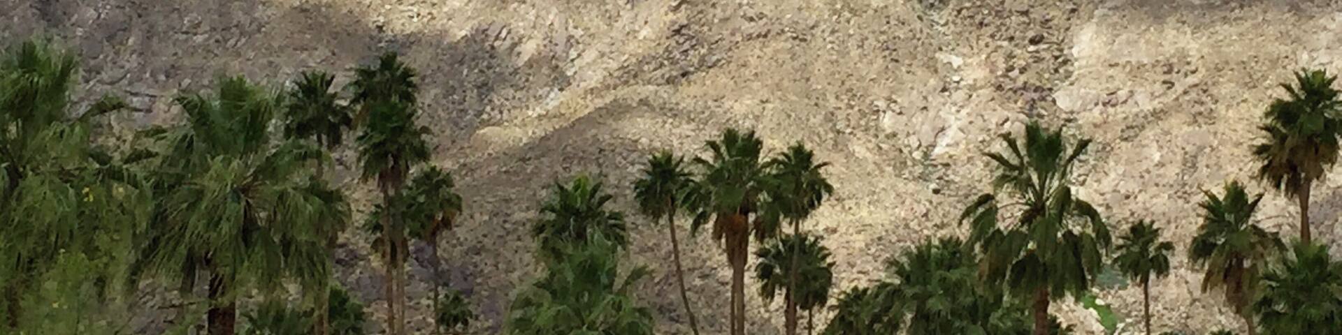 Light and shadows on the east face of Mt San Jacinto. I love the mountain as the sun touches it differently throughout the day. Dancing in and out of the crevices and shadows. Never grows old. #culture. #weekend getaways