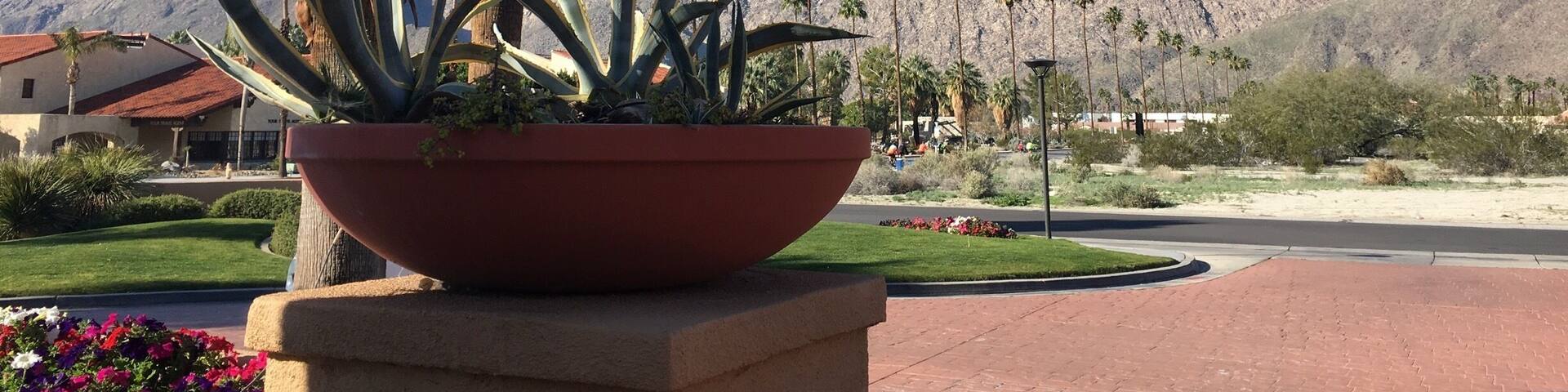 View from my hotel in Palm Springs Cali