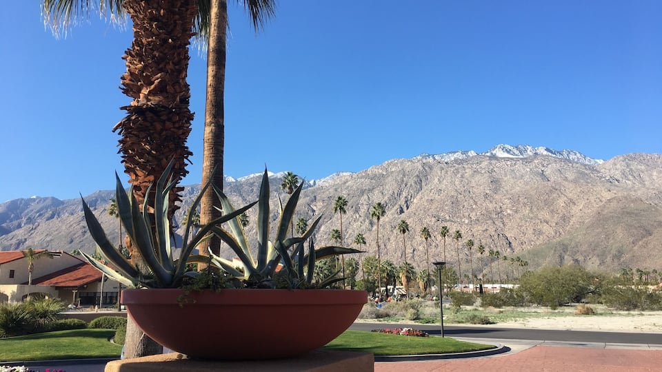 View from my hotel in Palm Springs Cali