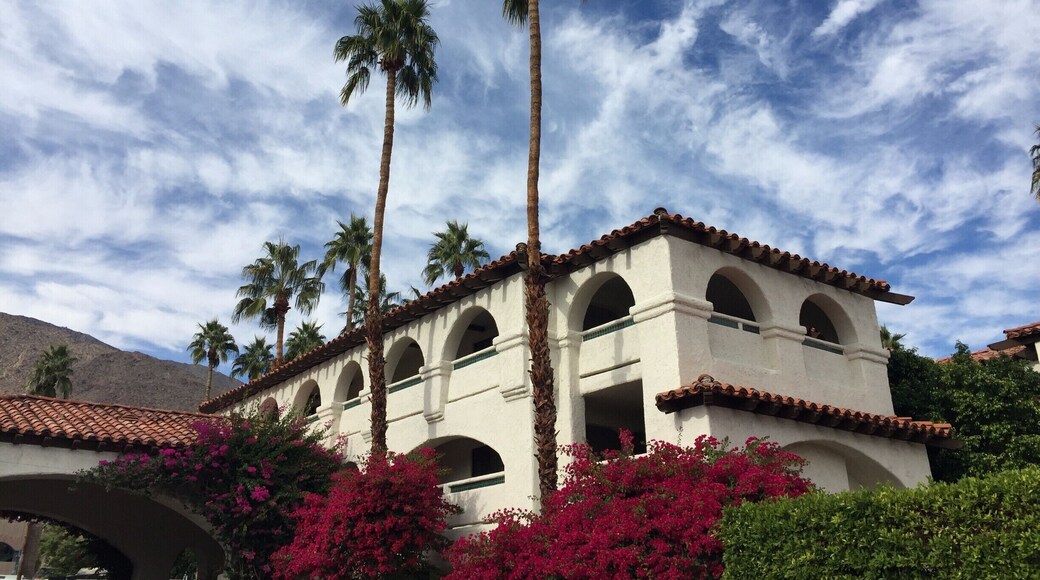 Snapped this shot as I was leaving my hotel in PS. The sky with the building, palm trees, and flowers all caught my eye and blended well together. No filter!