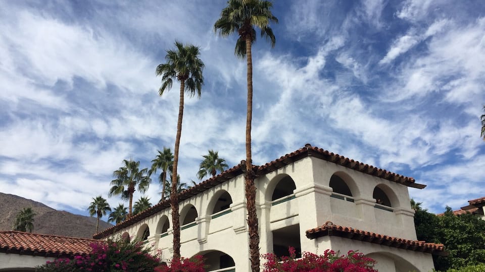 Snapped this shot as I was leaving my hotel in PS. The sky with the building, palm trees, and flowers all caught my eye and blended well together. No filter!