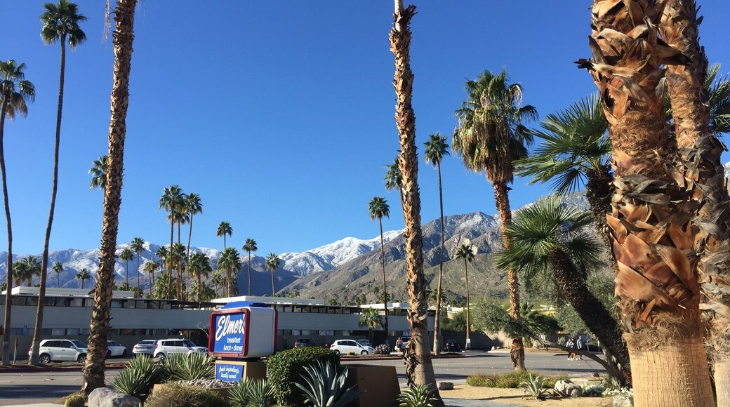 Great breakfast & service. Get the German pancake!