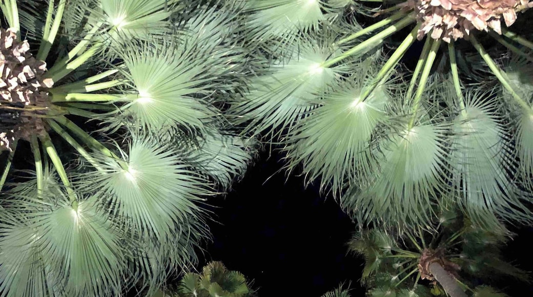 Look up #villaroyale #palmsprings #lifeatexpedia