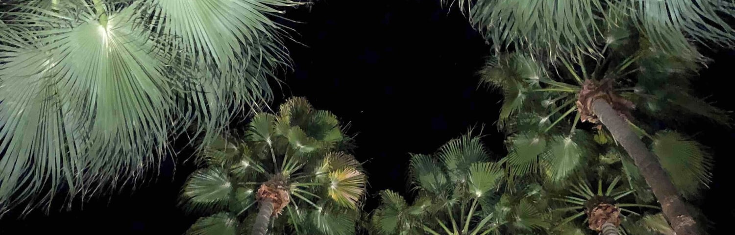 Look up #villaroyale #palmsprings #lifeatexpedia