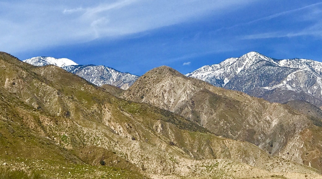 Note the layer of colors from blue sky to the white snow, gray mountains and the green vegetation of early spring in the desert
