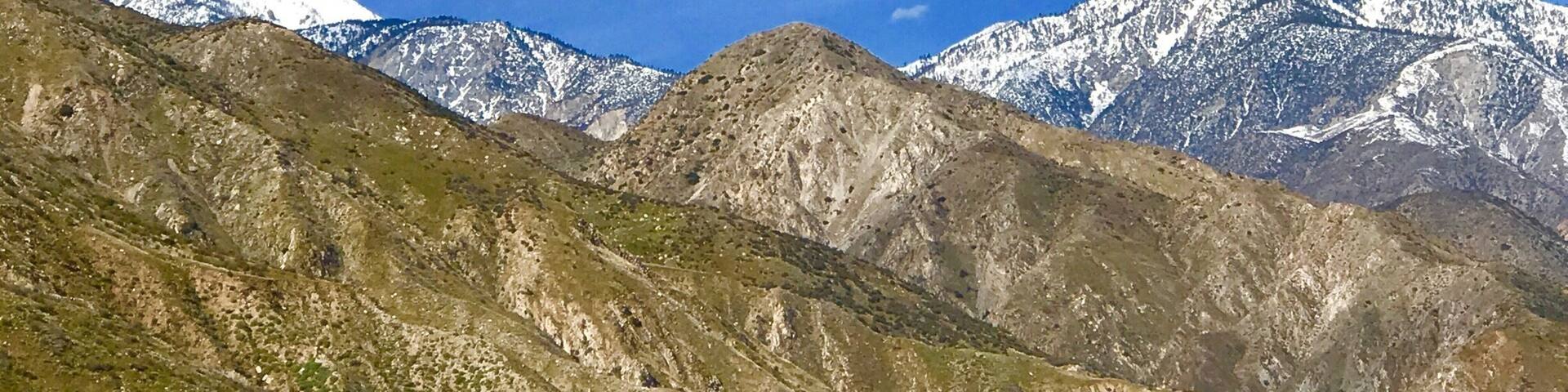 Note the layer of colors from blue sky to the white snow, gray mountains and the green vegetation of early spring in the desert