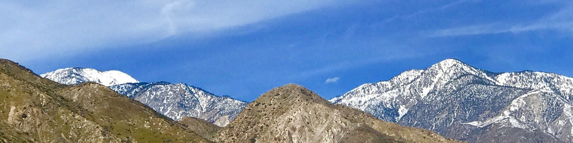Note the layer of colors from blue sky to the white snow, gray mountains and the green vegetation of early spring in the desert