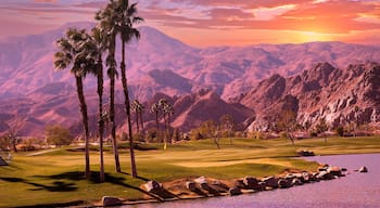 golf courseat sunset in palm springs, california