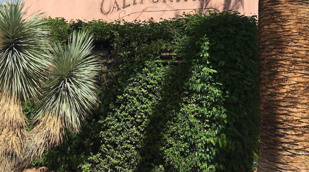 Check in but don't check out
Palm Springs