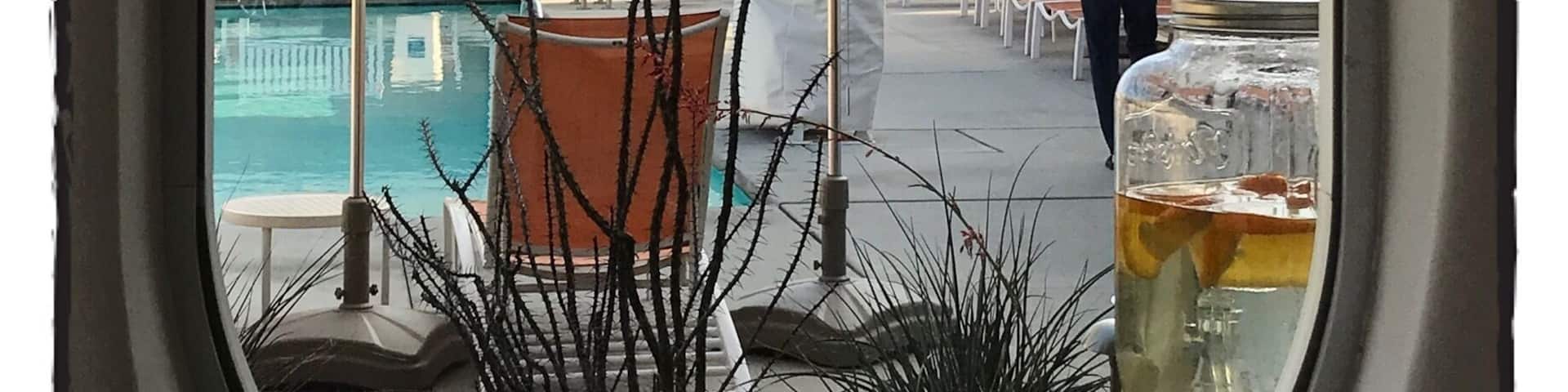 #lifeatexpedia
🌴🌵🥂🍻