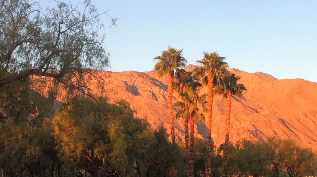 Glowing moonset over Mt. San Jacinto in Palm Springs. View from the hospital's campus