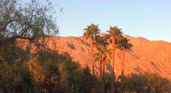 Glowing moonset over Mt. San Jacinto in Palm Springs. View from the hospital's campus
