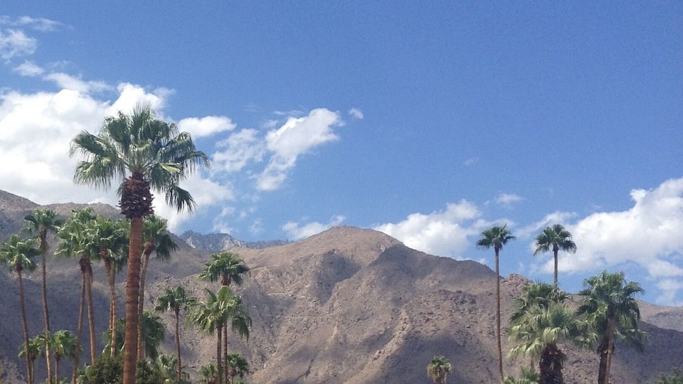 North Palm Canyon.