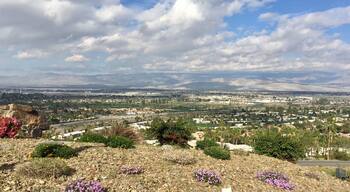 The view by the Elrod House. Thwarted by the gate.