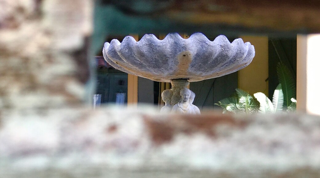 This picture was shot through the maildrop of an old Palm Springs estate capturing the fountain that stood in the courtyard.
