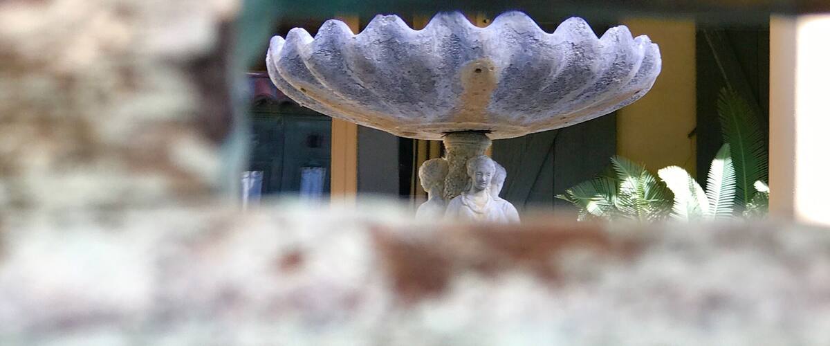 This picture was shot through the maildrop of an old Palm Springs estate capturing the fountain that stood in the courtyard.