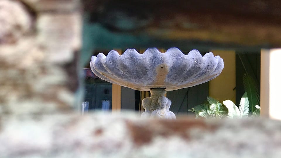 This picture was shot through the maildrop of an old Palm Springs estate capturing the fountain that stood in the courtyard.