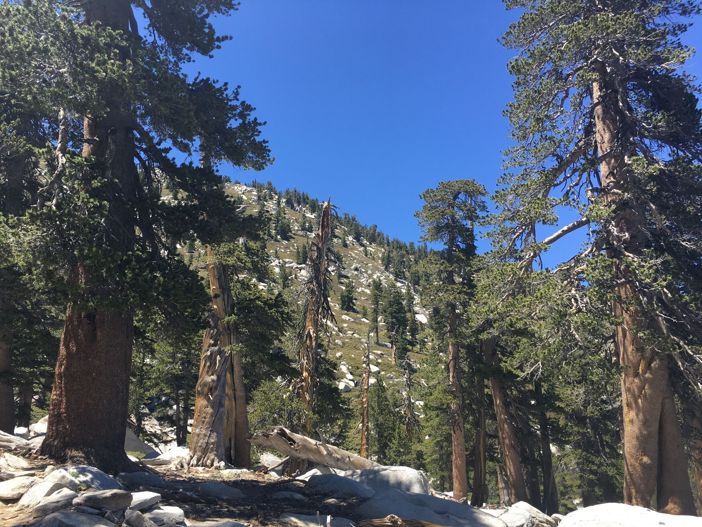 San Jacinto State Park