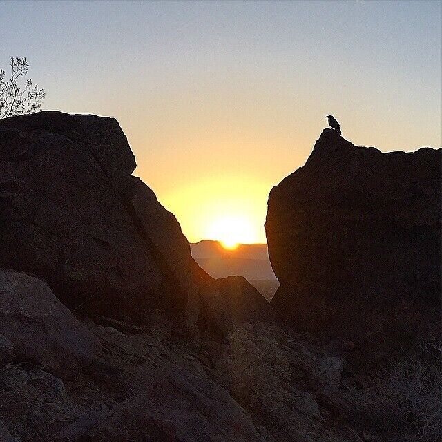 5:51 am Lykken Trail #goldenhour #sunrise #hiking