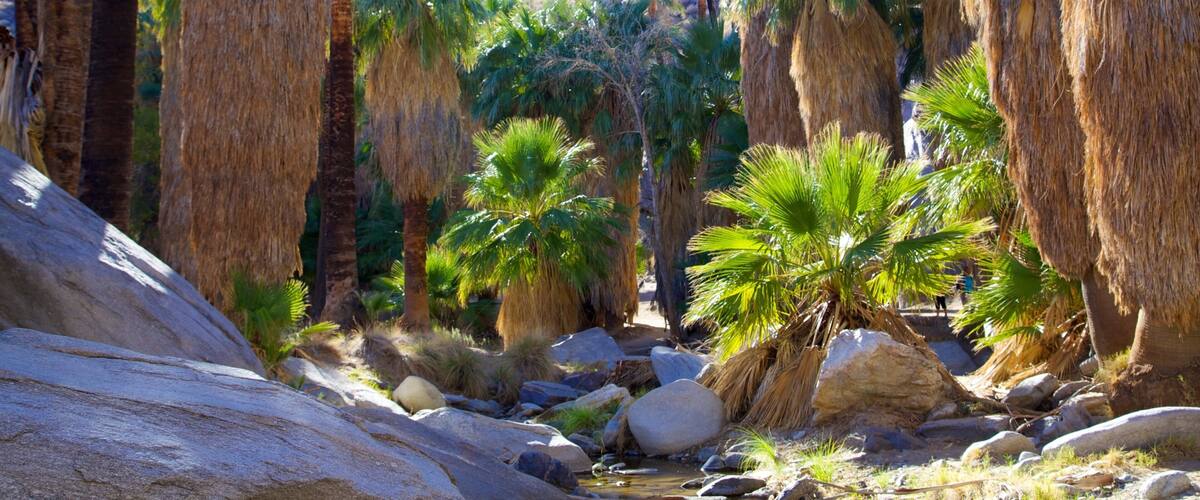 Palm Springs inclusief een park