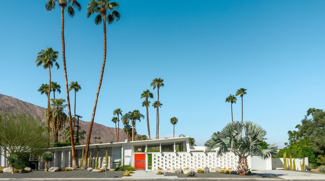 A building with a red door, surrounded by palm trees and cacti.