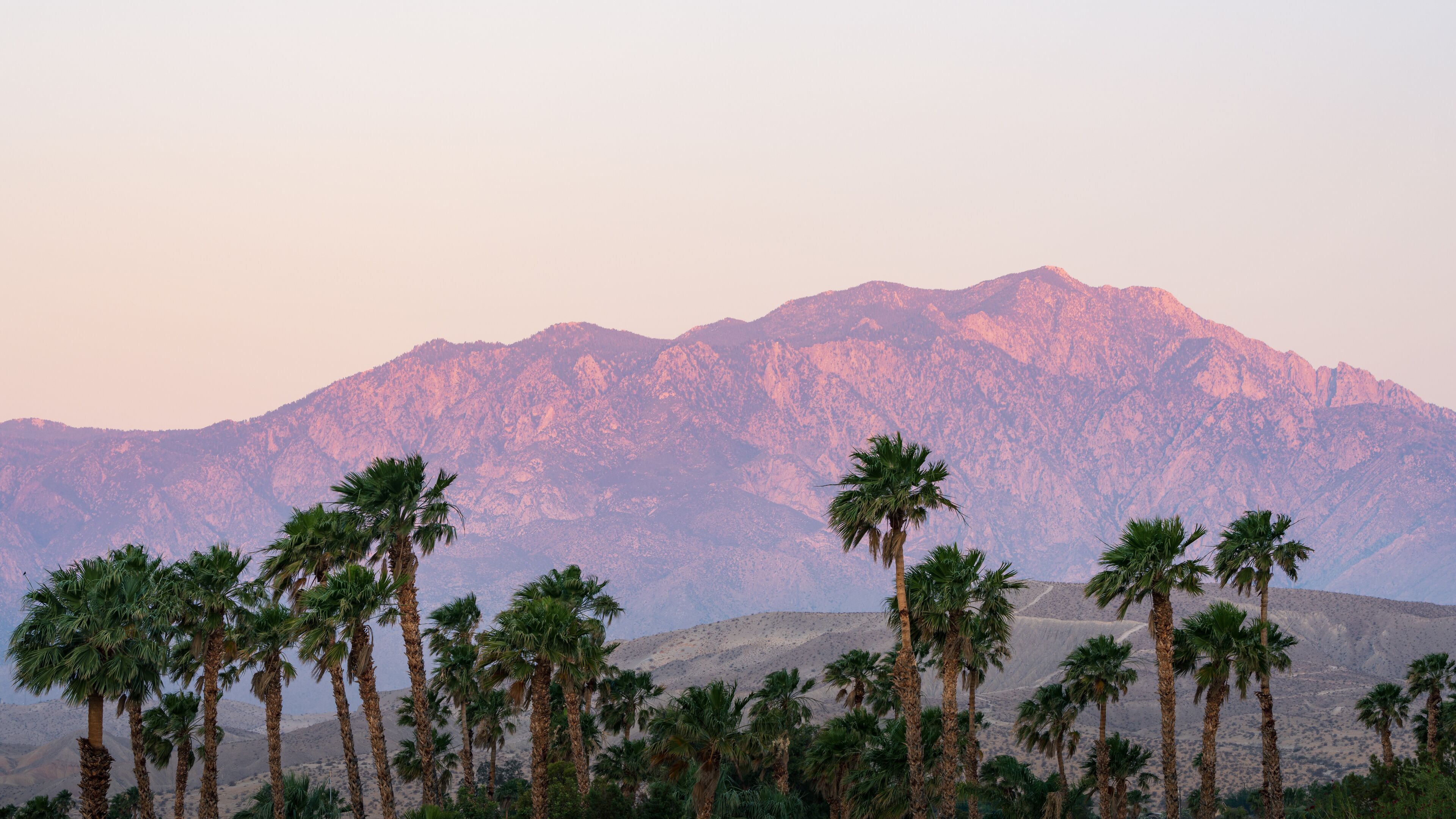 A mountain range with palm trees in the foreground.