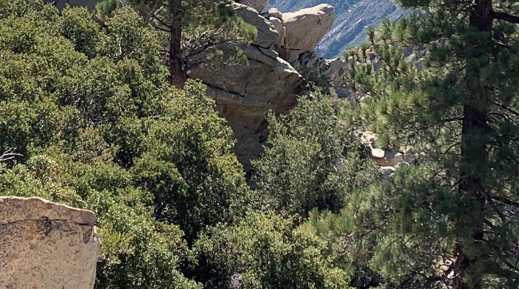 A day out hiking in Palm Springs. The rock formation looks like a dragon's head coming out the mountain. #Adventure