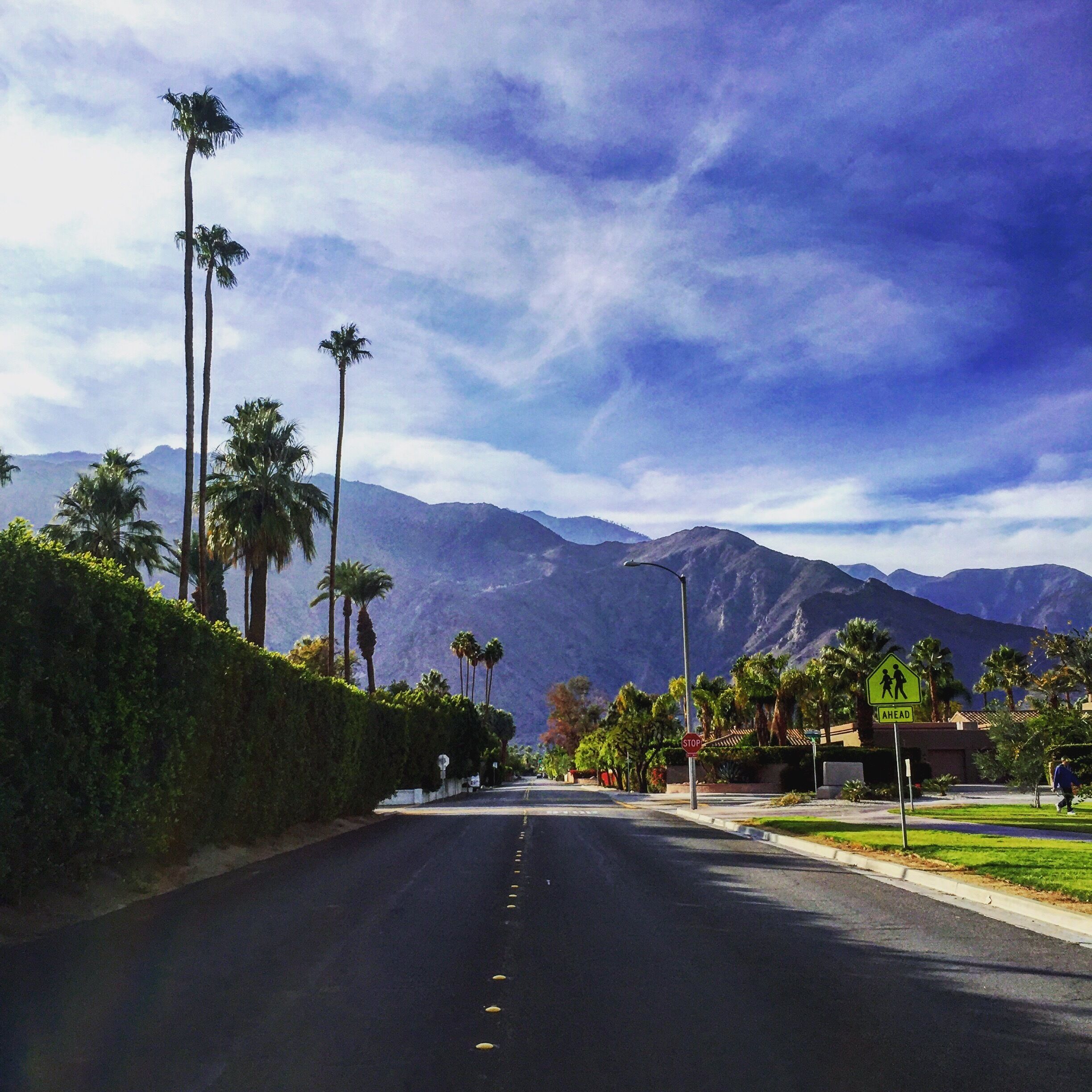 Afternoon run in Palm Springs. #lifeatexpedia
