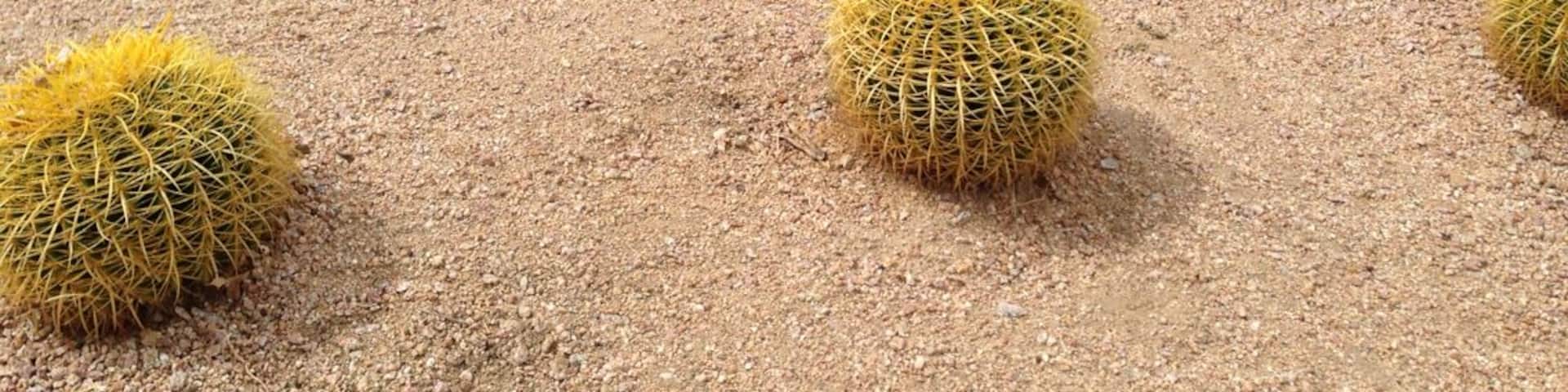 About time landscape architects designed some structure for the desert... Note: in German we call these SchwiegermutterstĂŒhle - mother in law's chairs.