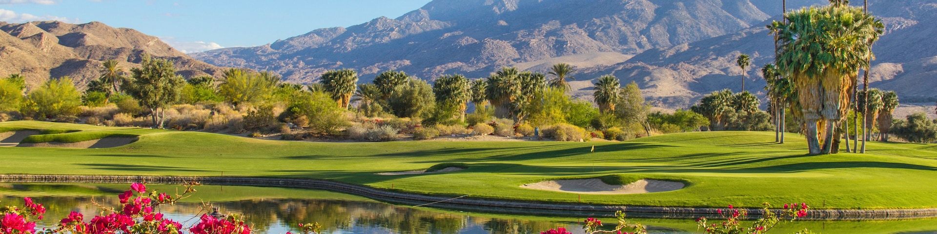 Summer sunlight cast a warm glow to a golf course and bougainvilleas in Palm Springs, California