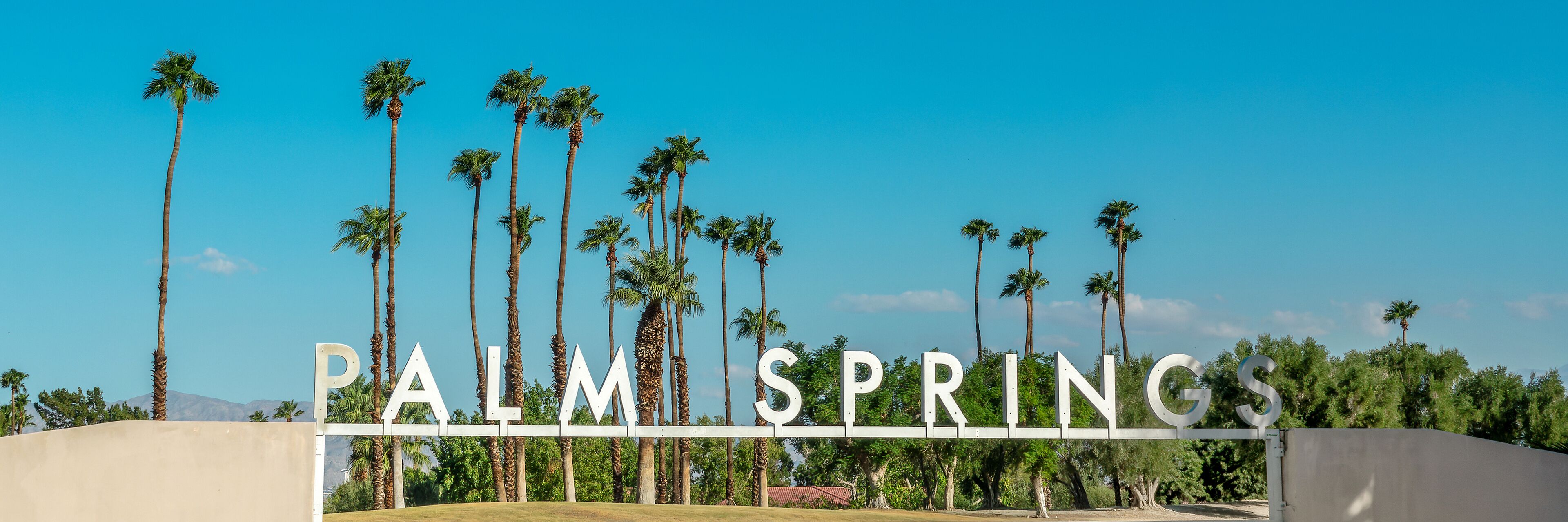 A sign reading "PALM SPRINGS" with tall palm trees in the background.