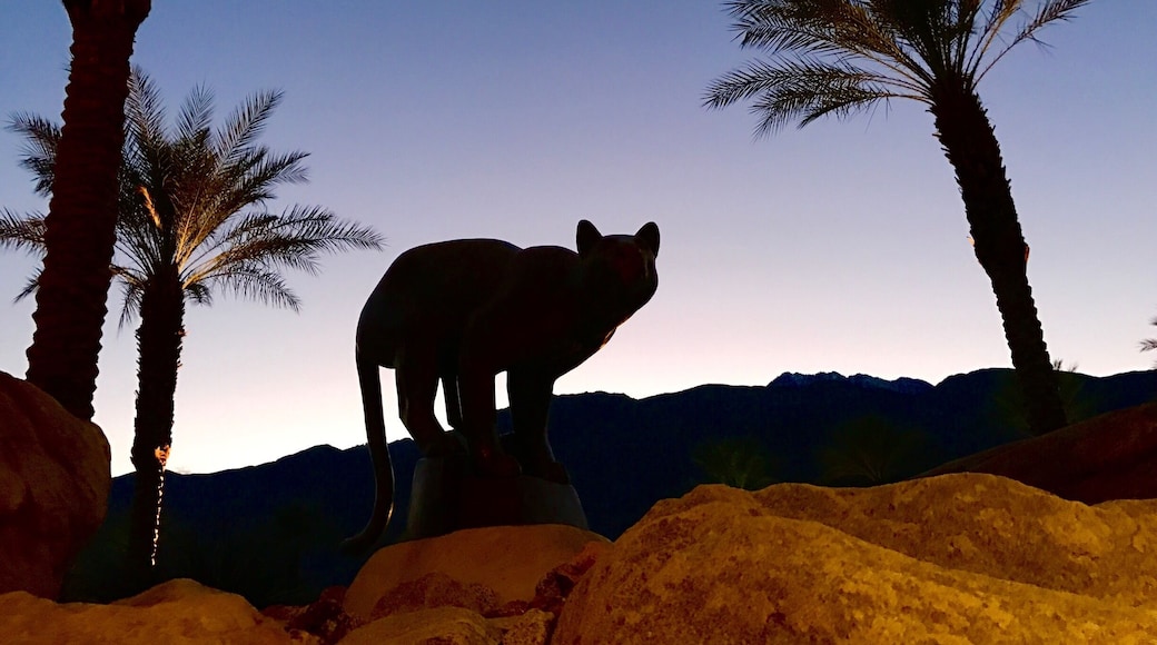The photo was shot at the Palm Springs convention center at dusk. The mountain cat which appears so real was the silhouette of a bronze sculpture. The beautiful backdrop made for a surreal image.