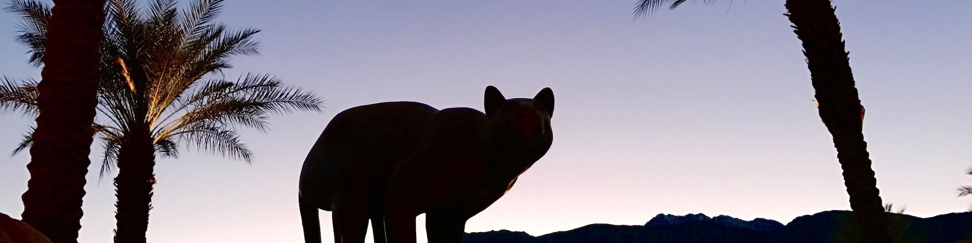 The photo was shot at the Palm Springs convention center at dusk. The mountain cat which appears so real was the silhouette of a bronze sculpture. The beautiful backdrop made for a surreal image.