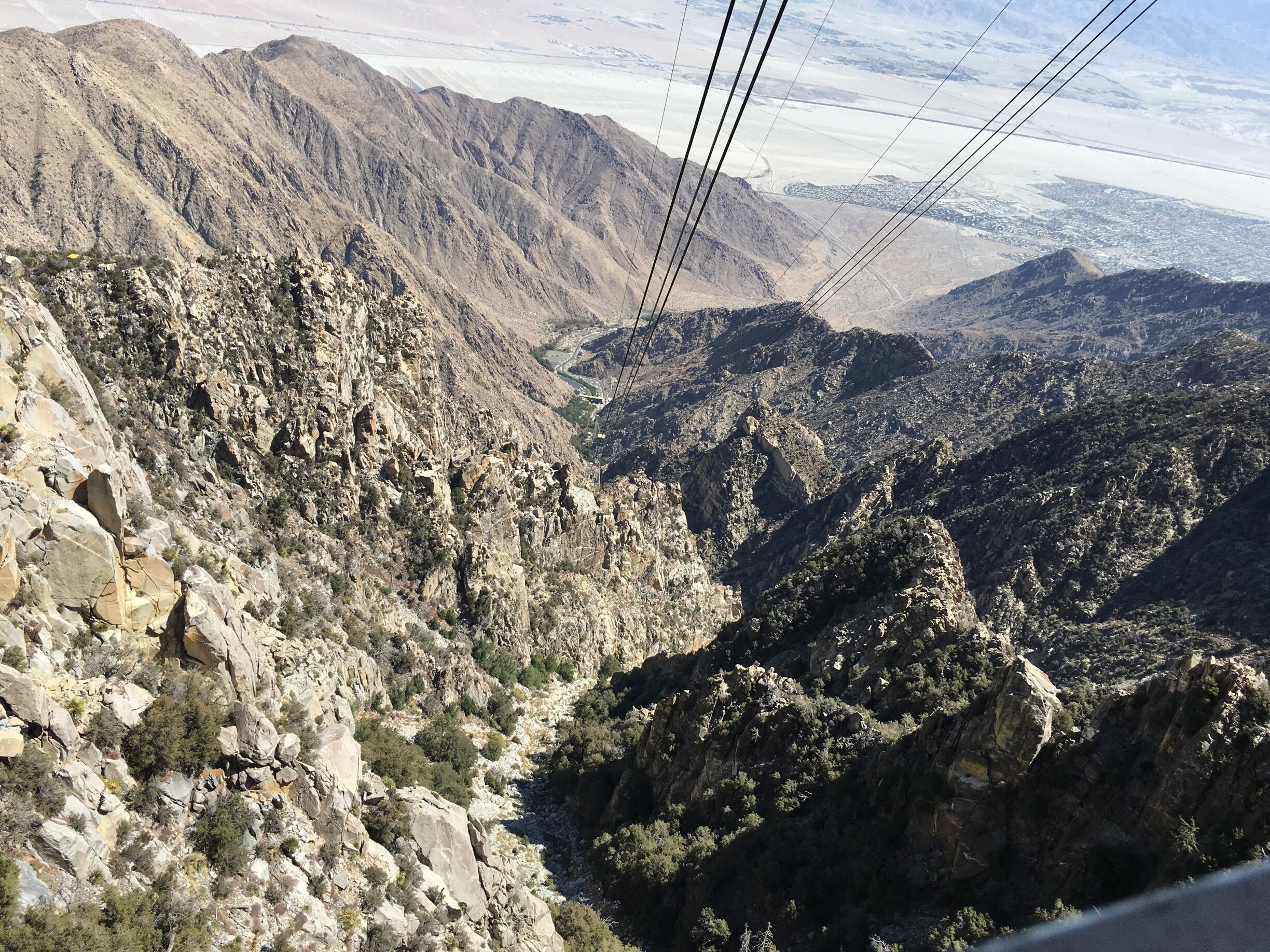 Such a worthwhile trip up the Aerial tramway. Amazing views at the top.