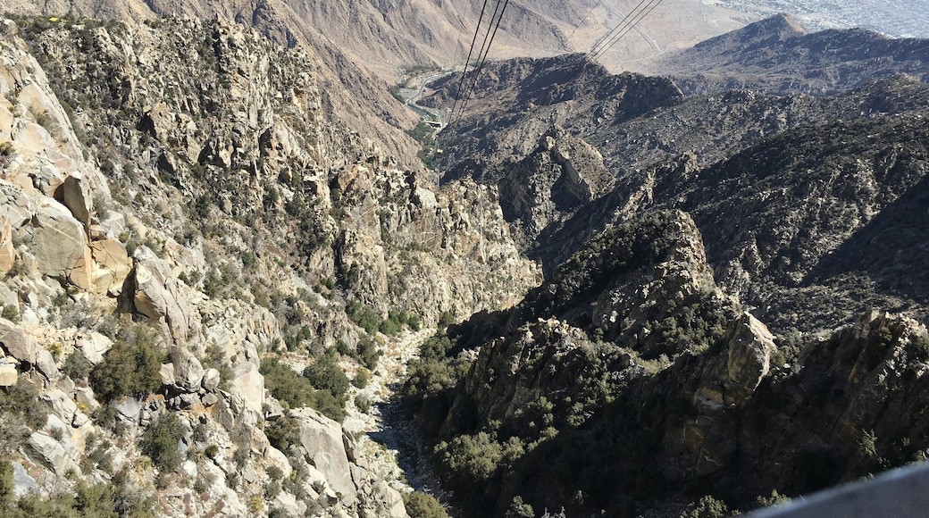 Such a worthwhile trip up the Aerial tramway. Amazing views at the top.