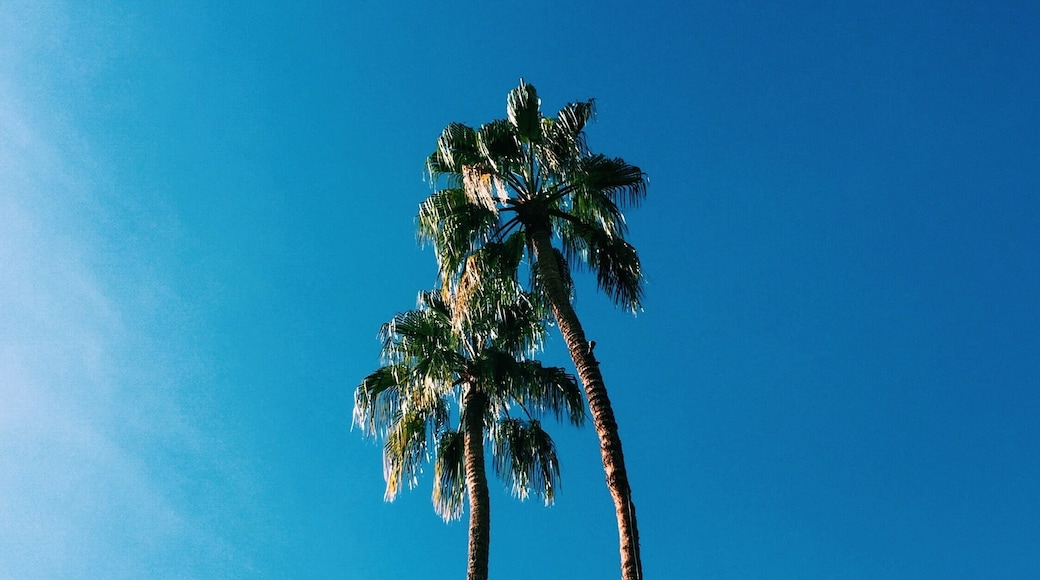 Quick trip to Palm Springs. #lifeatexpedia