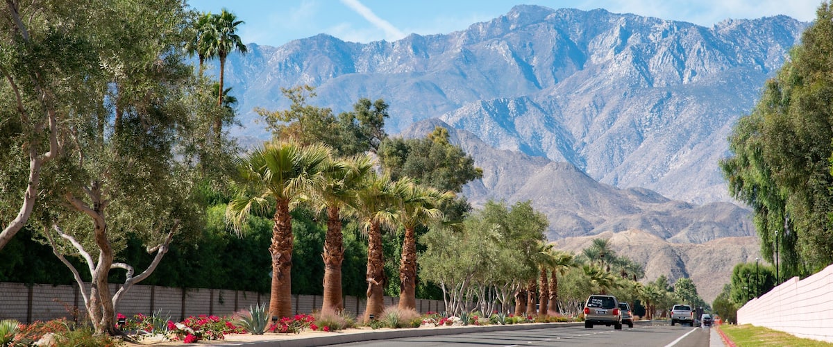 Palm Springs Hotel Guide